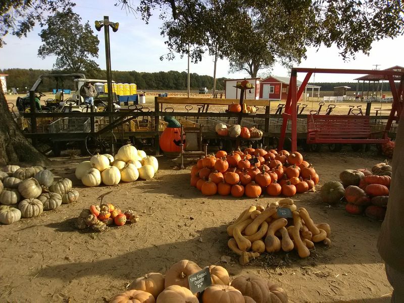 The Pumpkin House Makes An Irresistible Photo Stop
