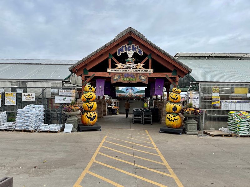 The Pumpkin Patch That Outgrew the Word Patch