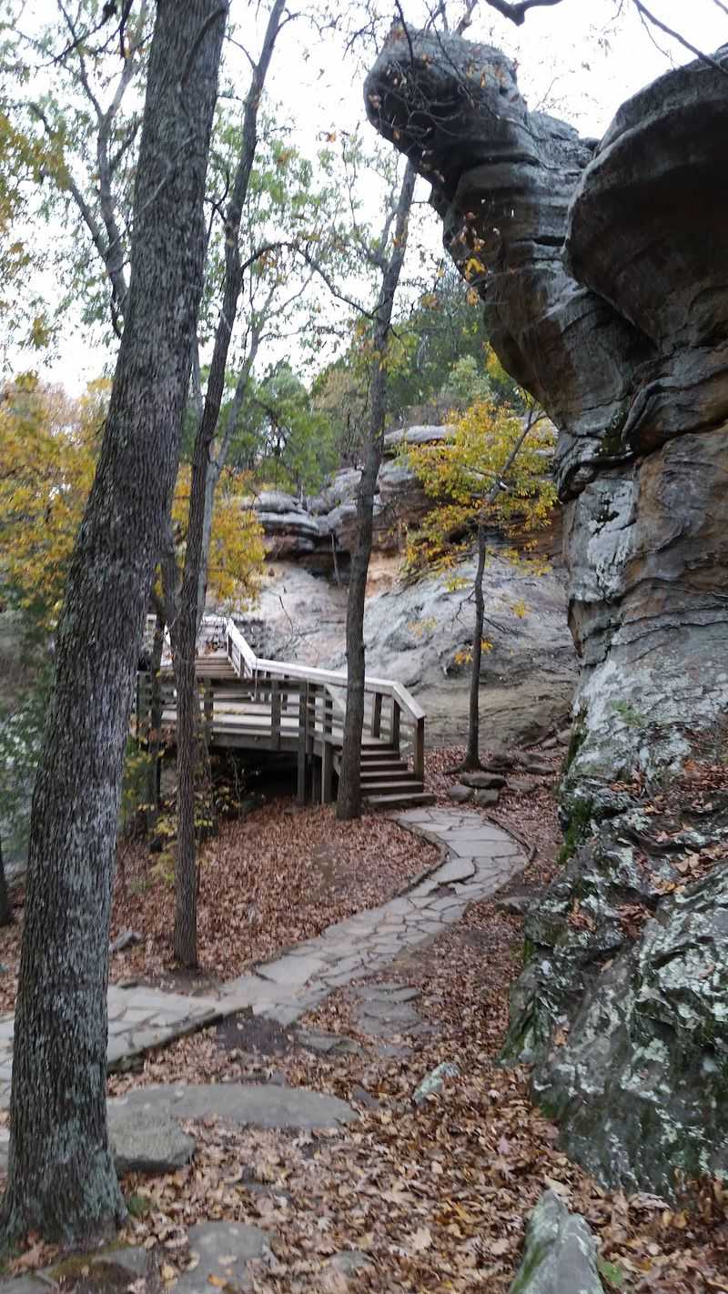 The Quarter-Mile Observation Trail