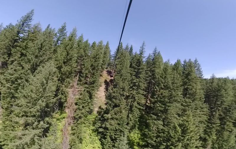 The Quarter-Mile Zipline