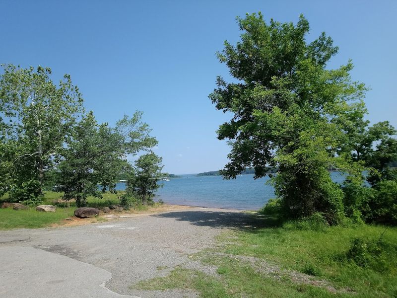 Where Crystal Waters Mirror Dogwood Blooms