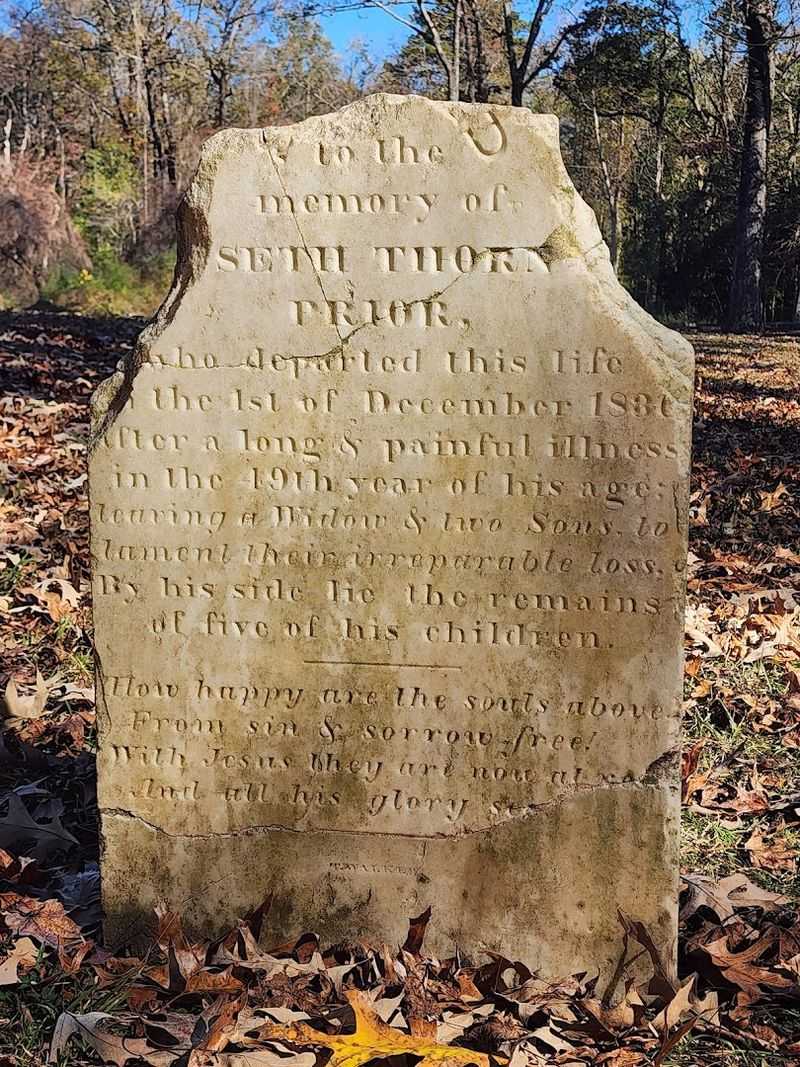 The Quiet Cemetery Full Of Untold Stories