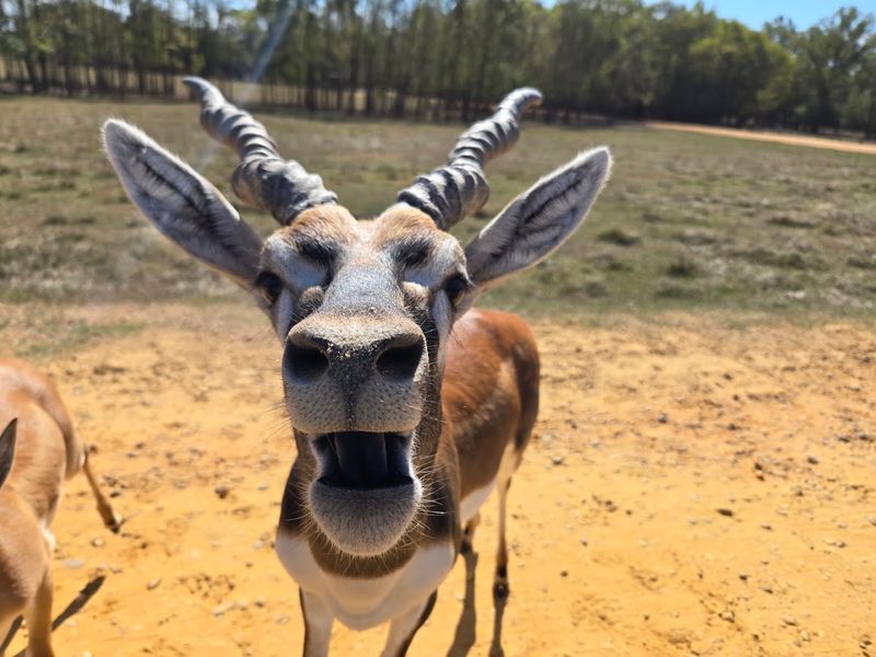 This Alabama Ranch Deserves A Spot On Every Bucket List