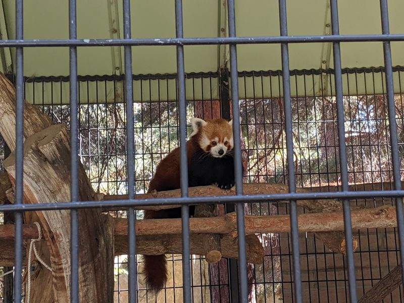 The Quiet Payoff Of An Underrated Colorado Zoo
