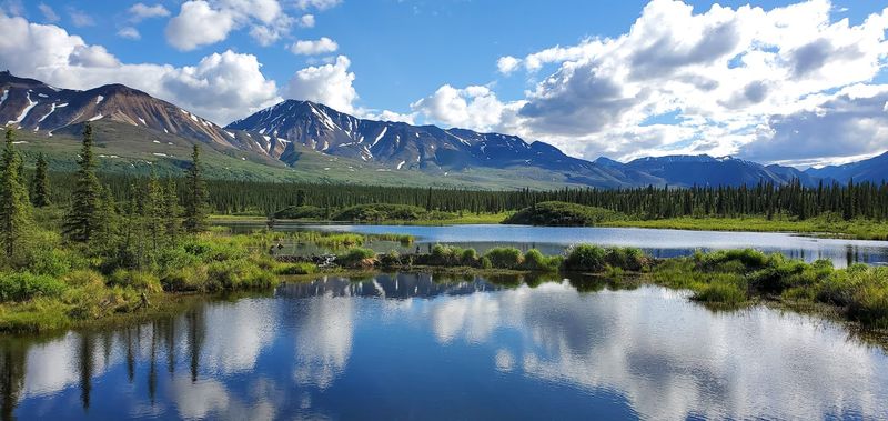Tundra Views That Stretch Farther Than Your Imagination
