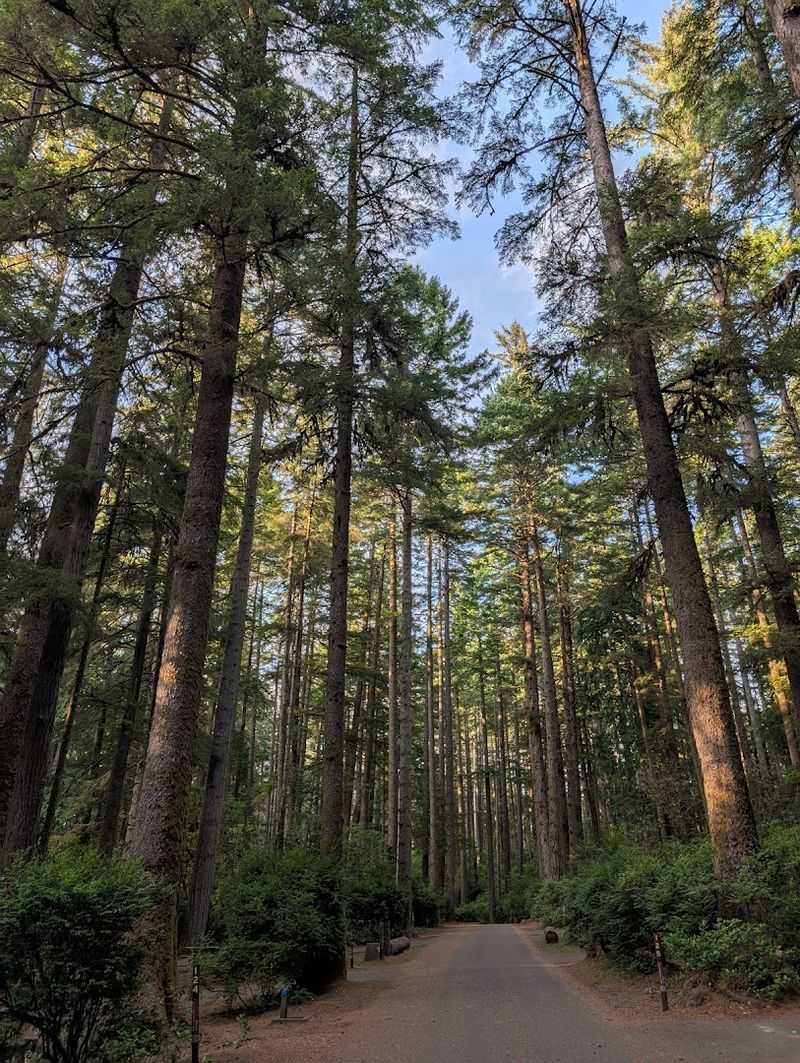  Oregon's Own Desert Adventure