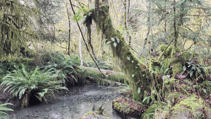The Quietest Place In America