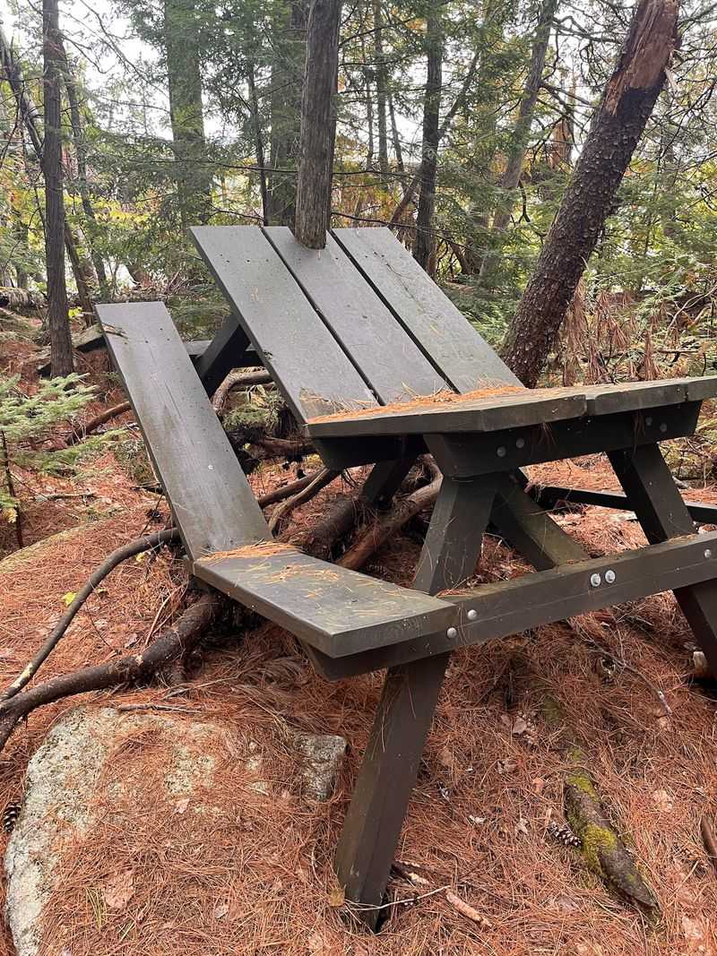 The Quirky Picnic Table Scavenger Hunt