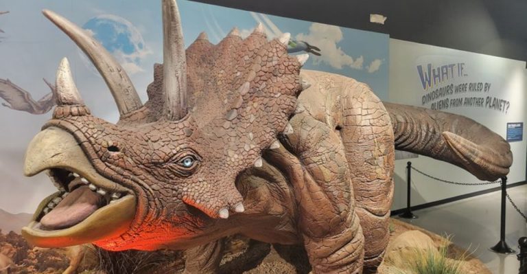 The Quirky Roadside Museum In Arizona That’s Almost Too Weird For Words