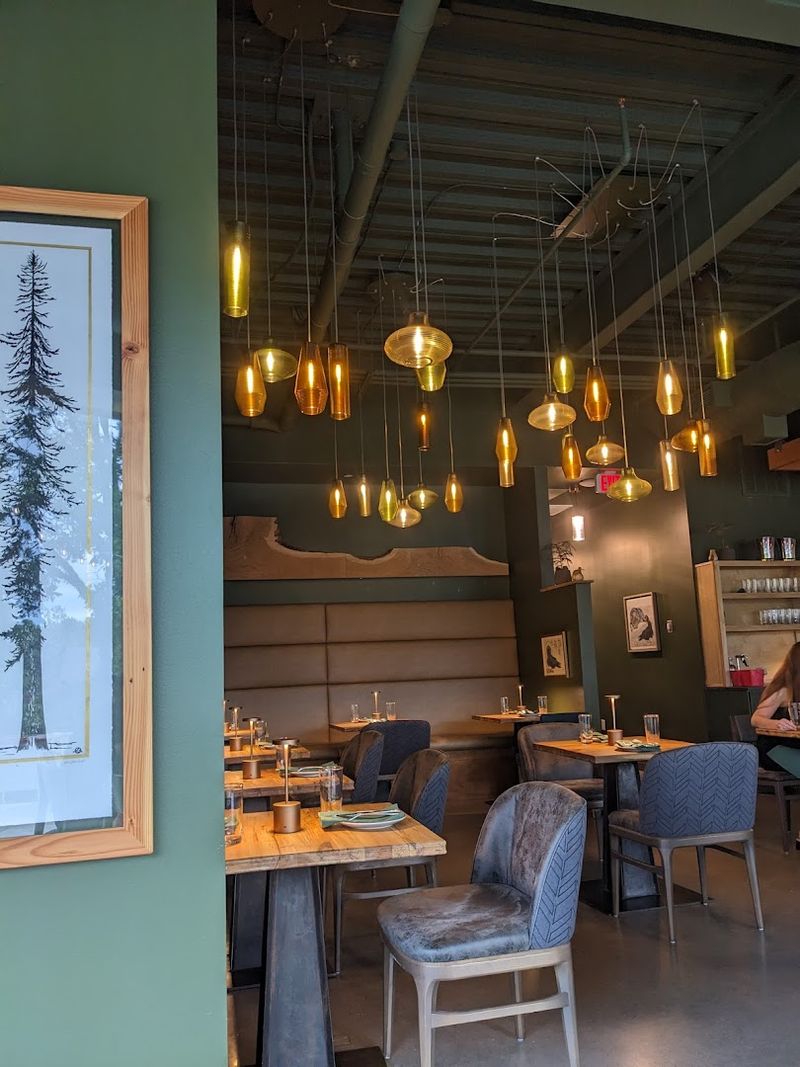 Conifer, Bentonville