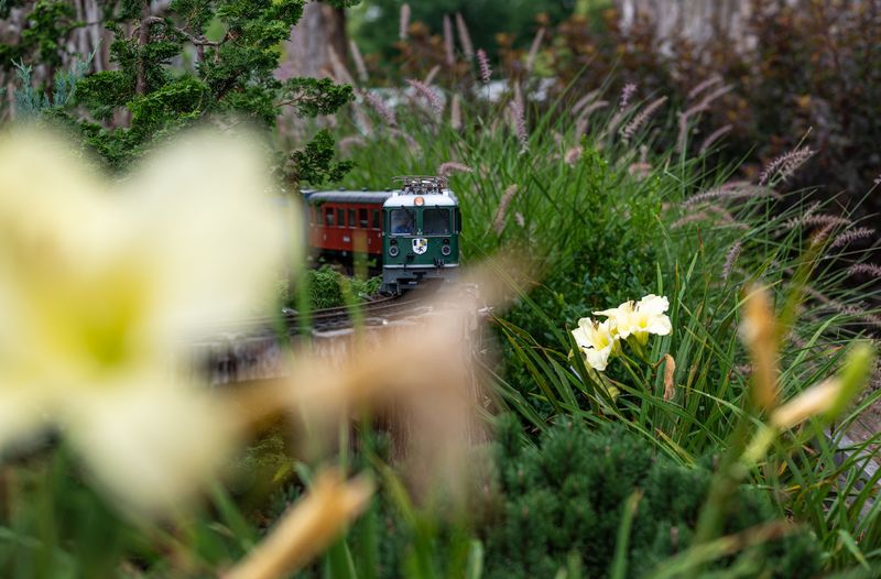 The Railway Garden Has Tiny Surprises