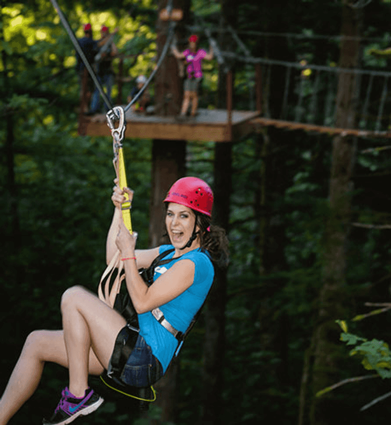 The Rainforest Canopy Experience The Rainforest Canopy Experience