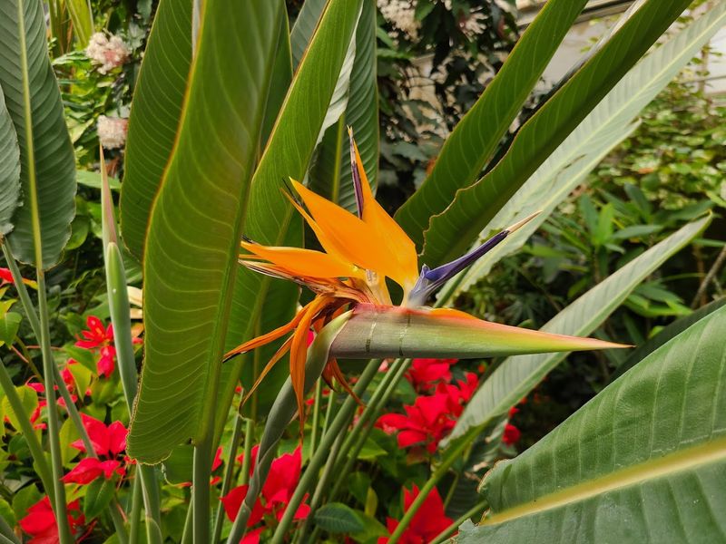 A Garden That Works Year-Round, Not Just in Summer