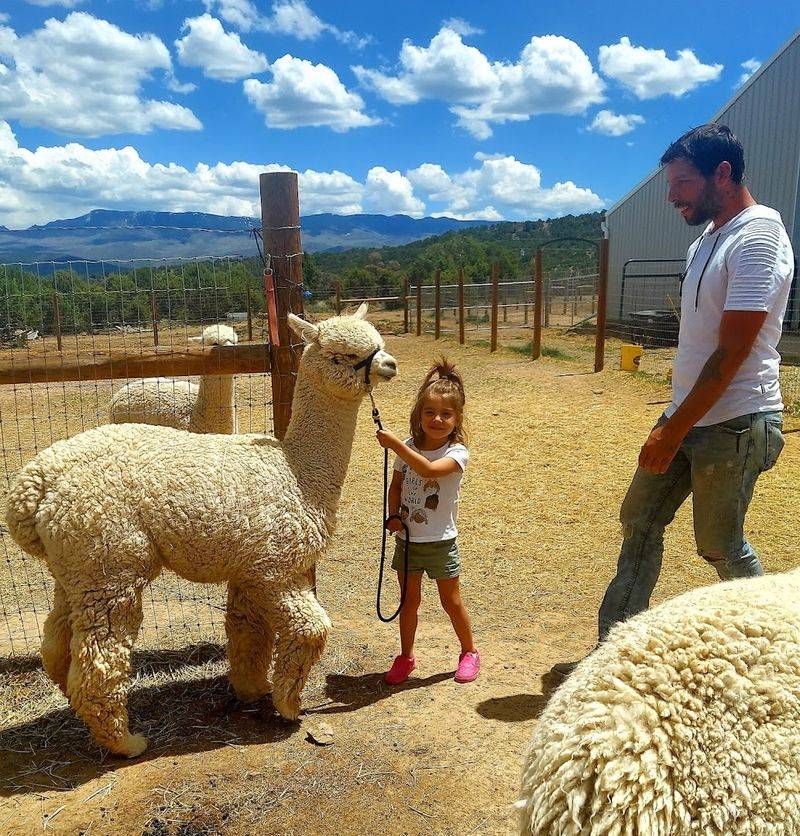 The Ranch That Makes The Plan For You