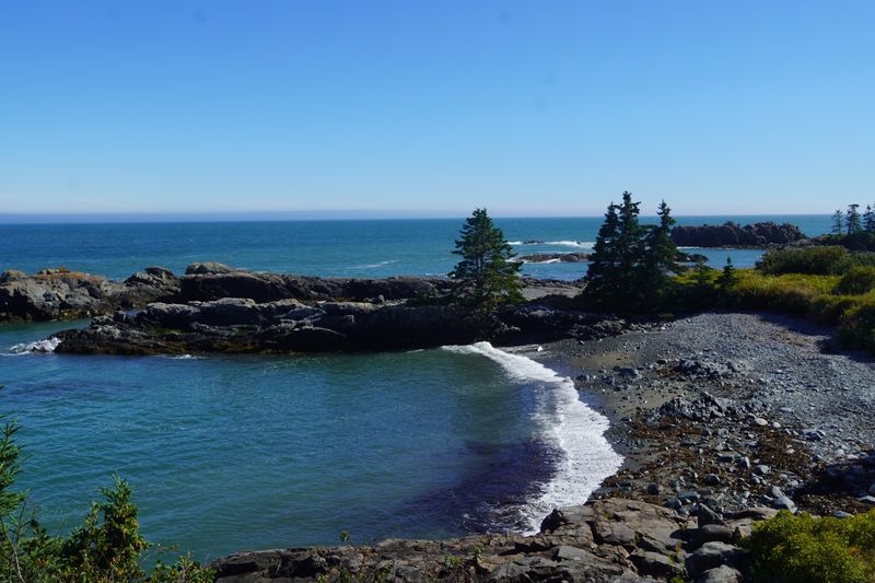 Marine Wildlife And Sea Bird Watching Opportunities