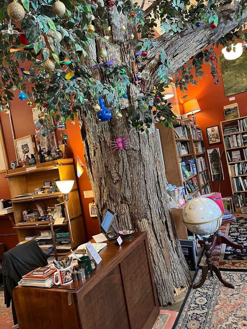 The Re-Created Tree Feature Inside The Shop The Re-Created Tree Feature Inside The Shop