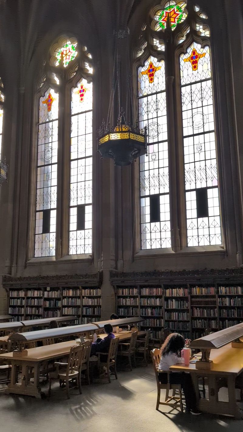 The Reading Room That Sparks Harry Potter Comparisons The Reading Room That Sparks Harry Potter Comparisons