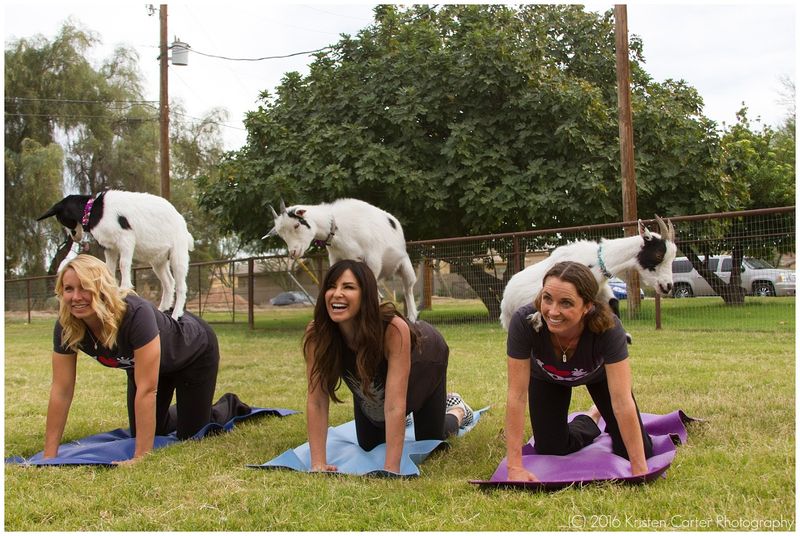 The Real Benefits Of Spending Time With Goats