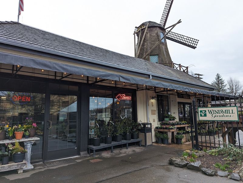 The Real Windmill That Started It All
