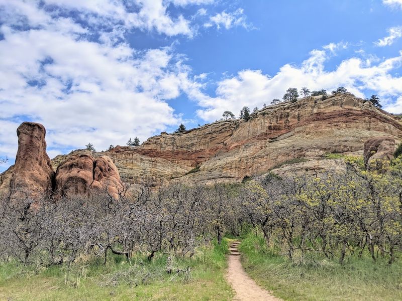 Wildflowers Turning the Trails Into Something Unexpected