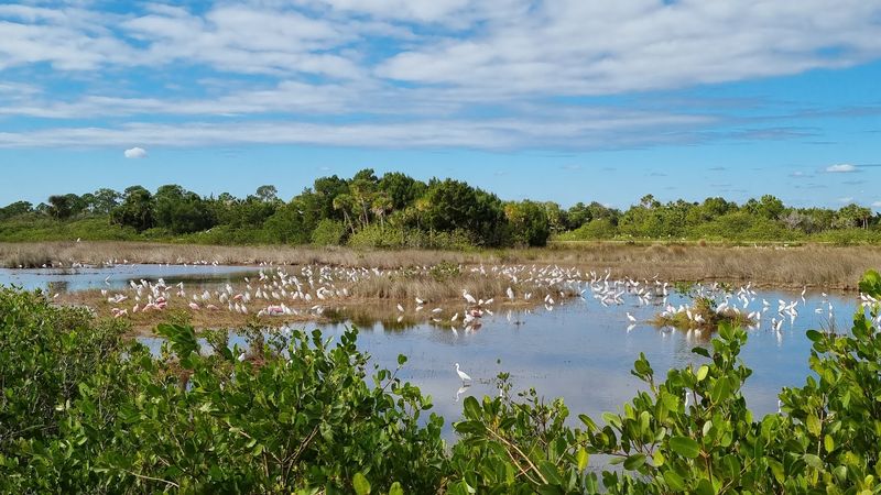The Refuge Covers A Staggering 140,000 Acres