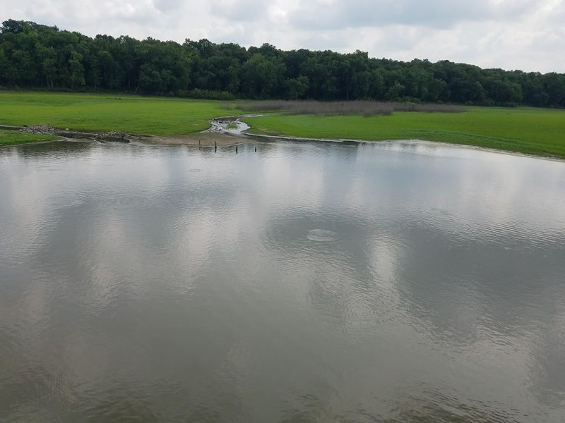 Water Management Is The Secret Behind The Refuge's Success
