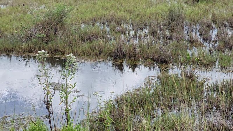 The Refuge Rewards Visitors Who Come Back Repeatedly