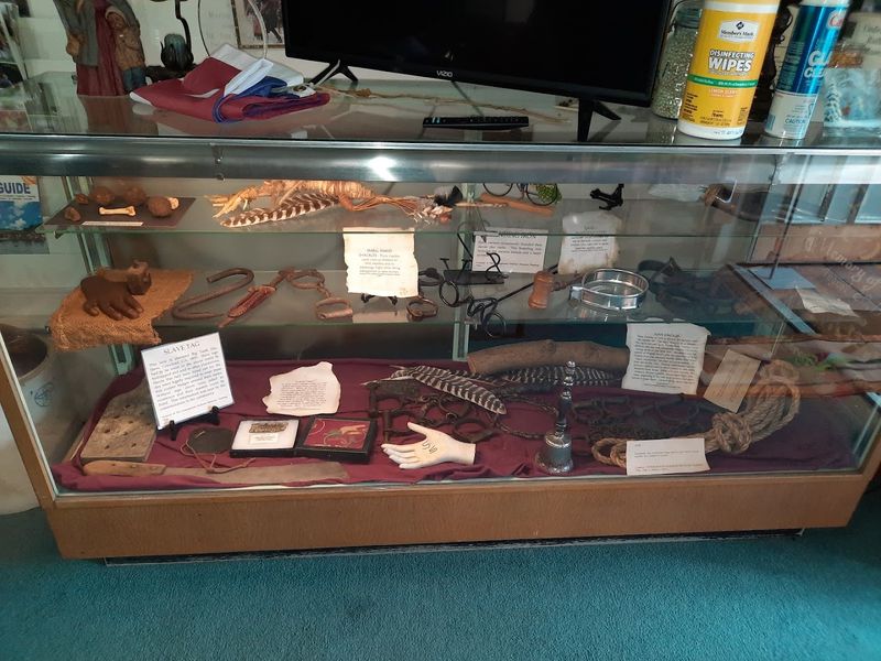 Thousands of Artifacts Under One Roof