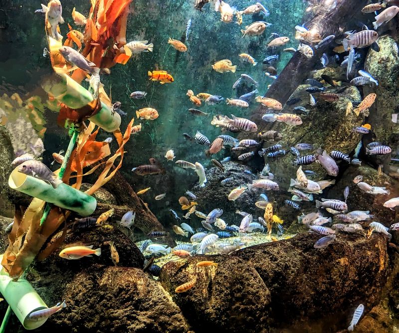 The Reptile House And Its Cold-Blooded Residents