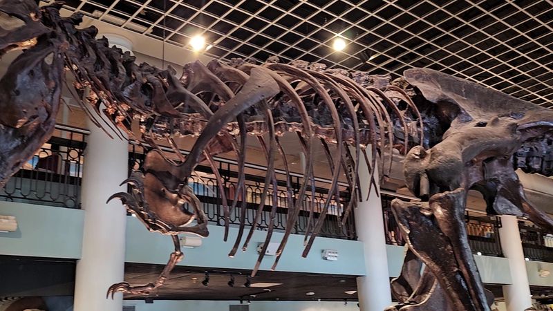 The Research Legacy Behind The Museum The Research Legacy Behind The Museum