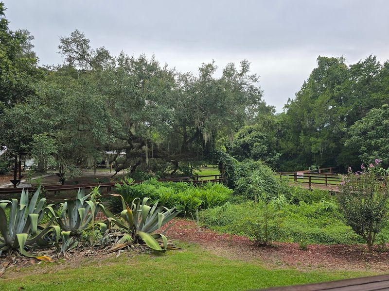 Wildlife Hiding In Plain Sight