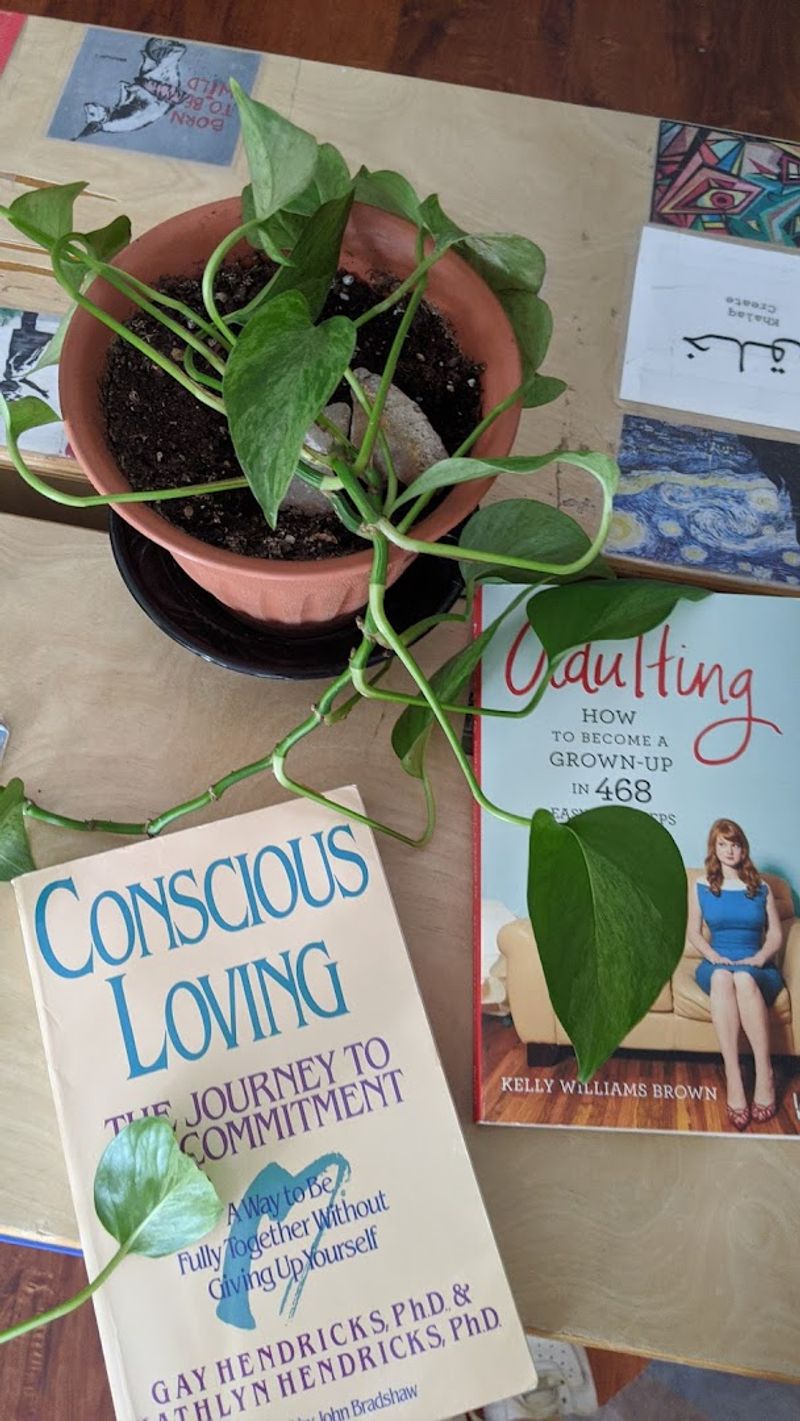 Final Verdict: The Kind of Bookstore Worth Driving Across Town For