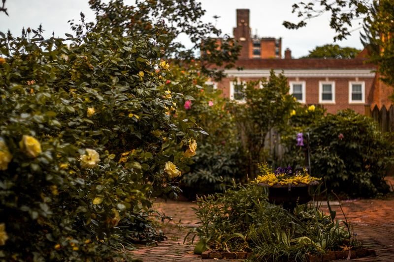 The Restored Garden: Where Demuth Found His Inspiration