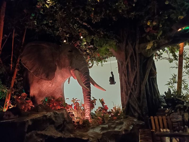 Tips For First-Time Visitors 