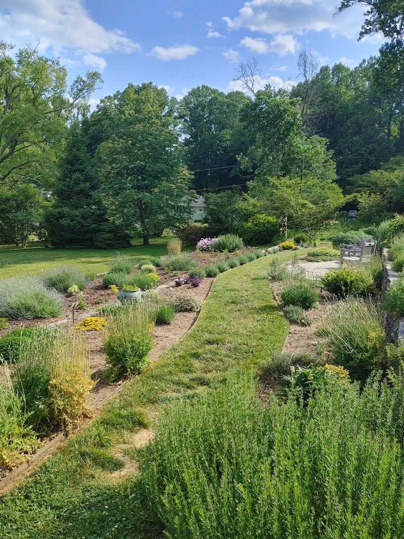 The Rhododendron Garden in Full Spring Bloom