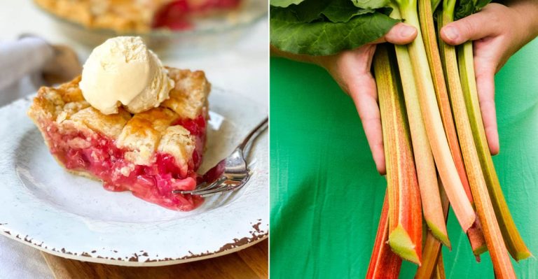 The Rhubarb Pie At This Wisconsin Bakery Might Be The Best You’ll Ever Taste