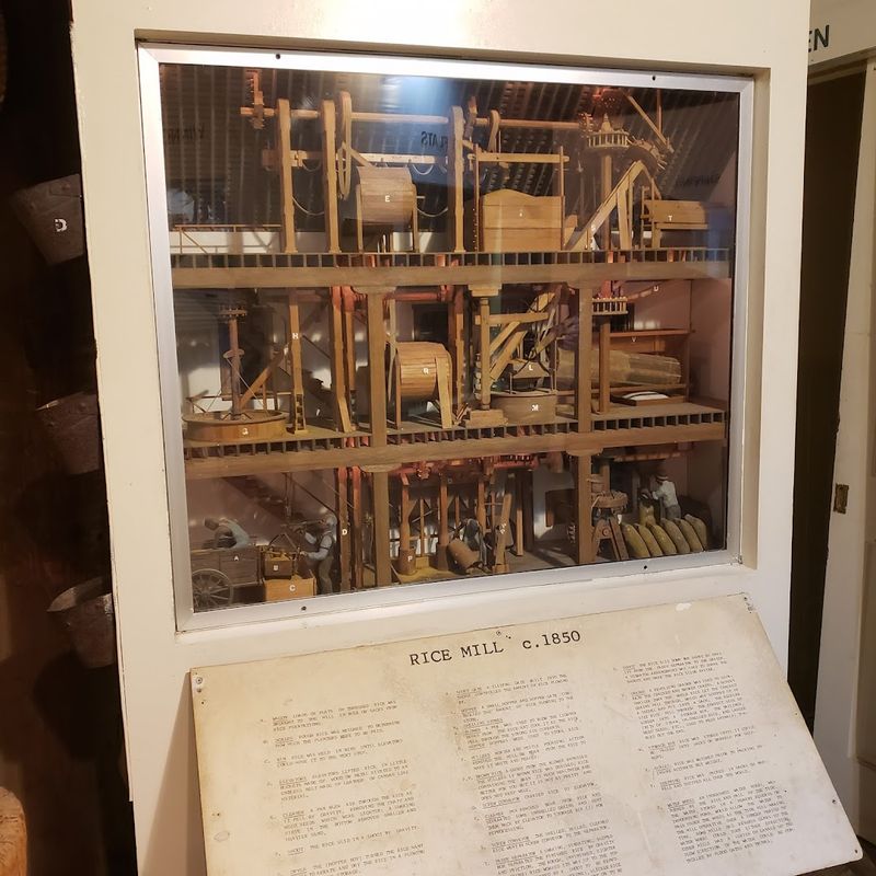 The Rice Museum And A Surprising Agricultural Legacy