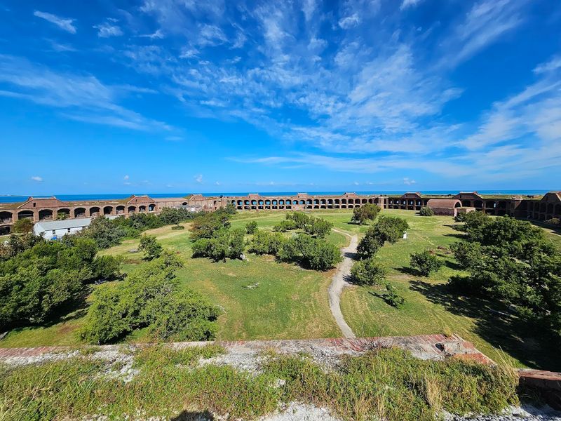 Birds That Make This Island Their Home