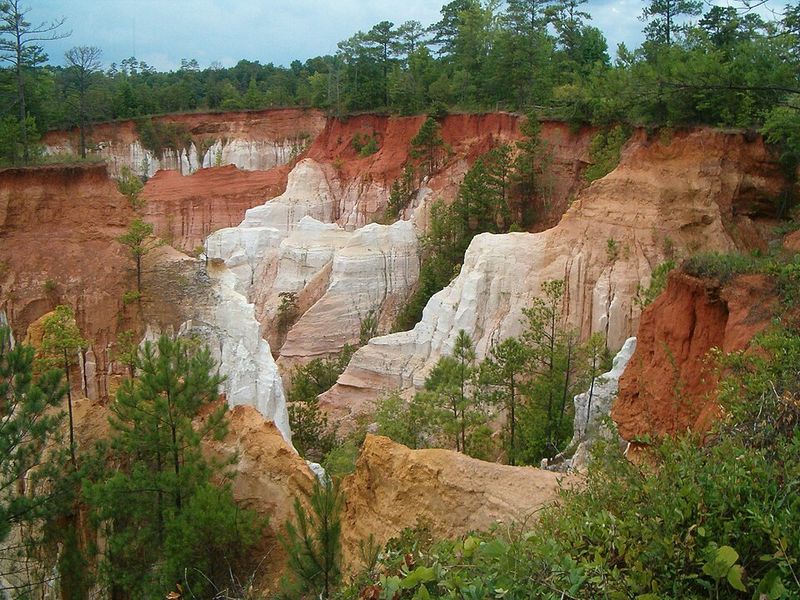 The Rim Trail Views That Make Your Camera Work Overtime The Rim Trail Views That Make Your Camera Work Overtime
