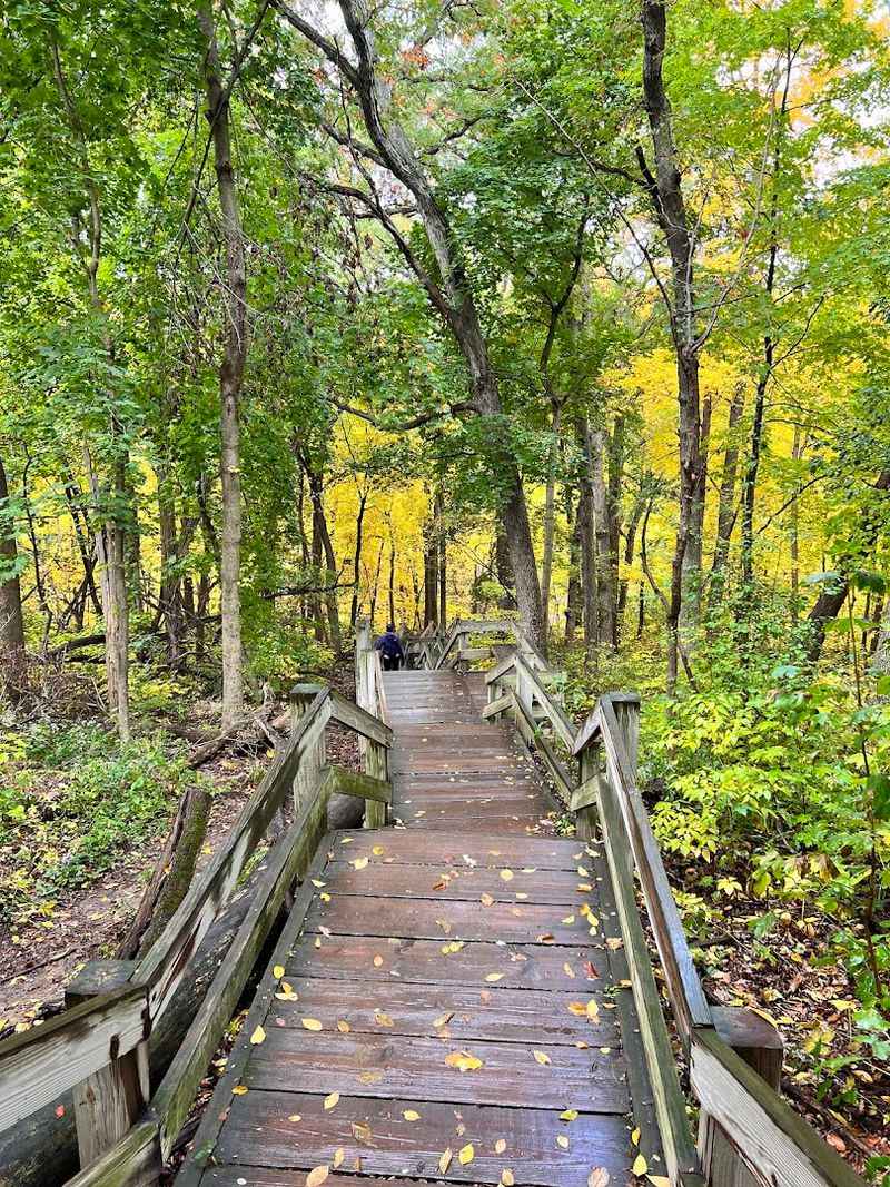 Practical Tips That Make Your Visit So Much Smoother