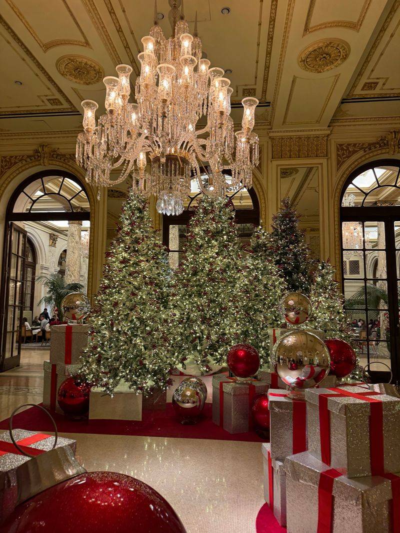 The Plaza Hotel – Palm Court