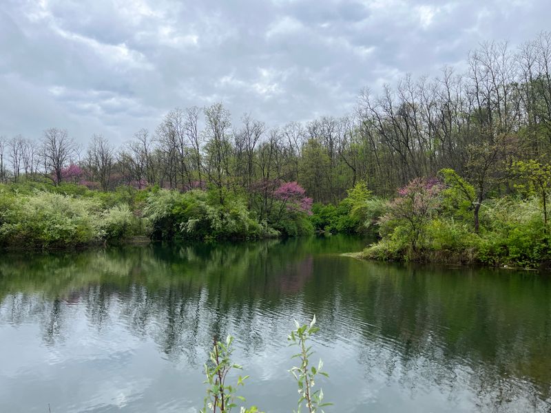 Twenty Two Ponds And A Thousand Reflections