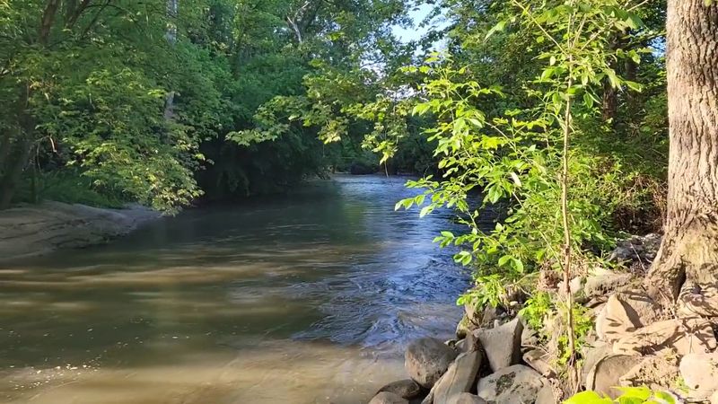 The River Scenery That Makes You Forget Your Phone Exists The River Scenery That Makes You Forget Your Phone Exists