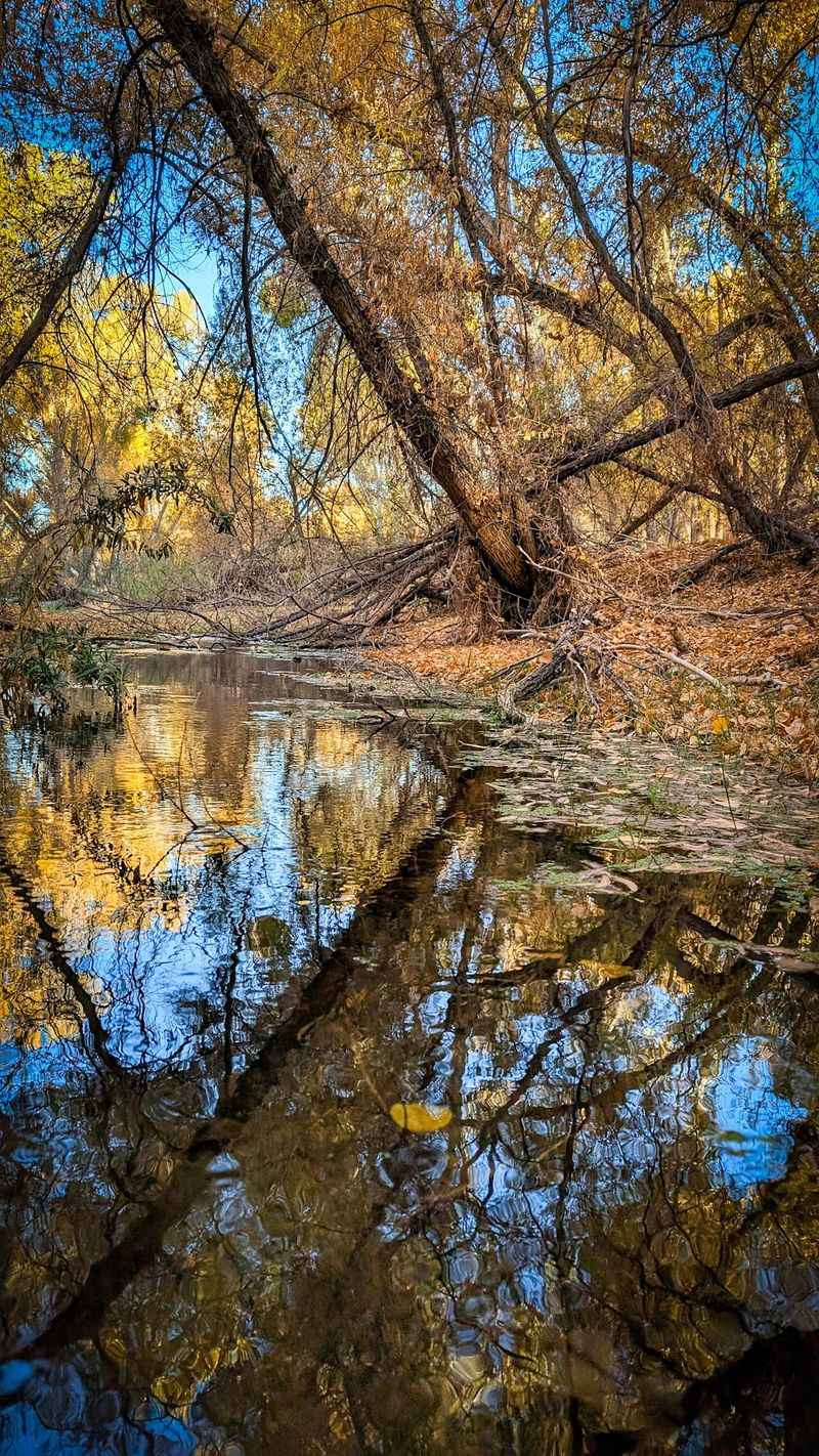 The River That Prefers To Travel Underground