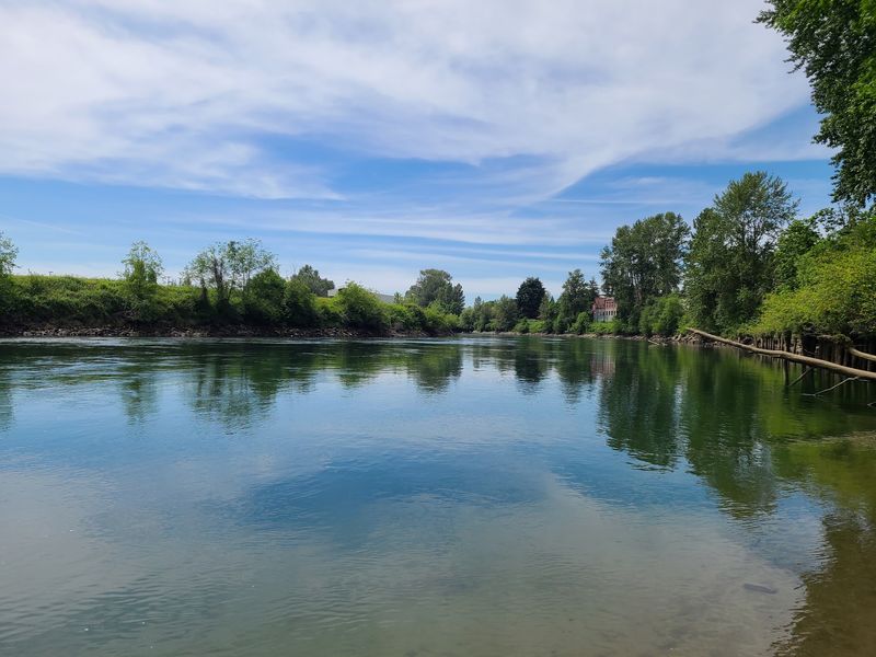 The River That Shapes The Mood