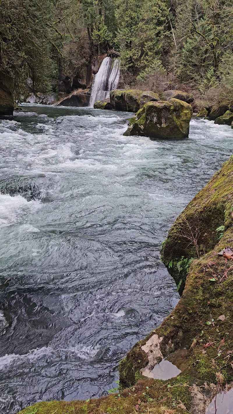 The River Trail and Its Roaring Rapids