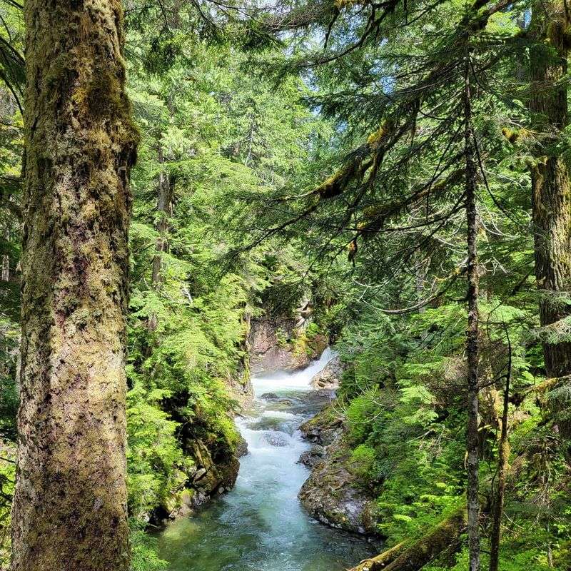 The Riverside Climb Through Mossy Forest