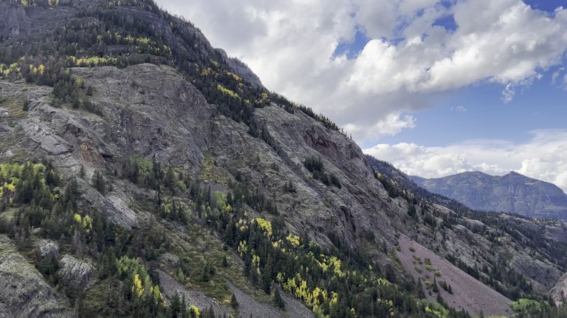 No Guardrails, No Apologies: Understanding the Real Risk