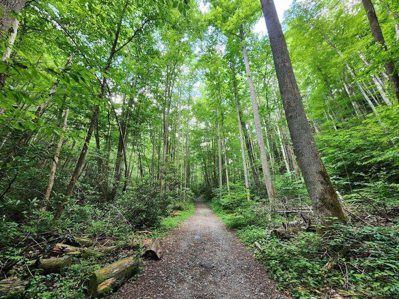 The Heartbeat Of The Entire Park