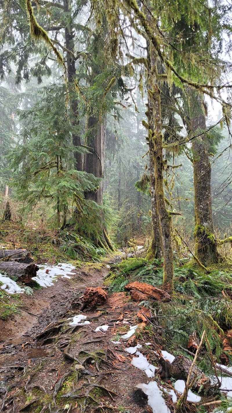 The Road Less Traveled (Literally)